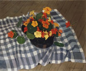 Schale mit Kapuzinerkressen von Felix Edouard Vallotton