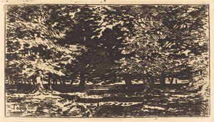 Wald