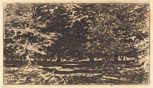 Wald (Forêt)