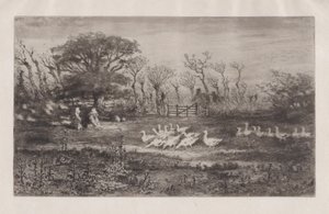 Gänse, 1860-98 von Felix Hilaire Buhot