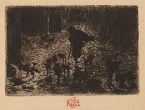 Die Nachtstreuner