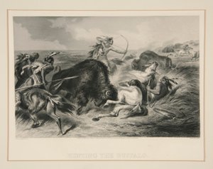 Die Büffeljagd von Felix O. C. Darley