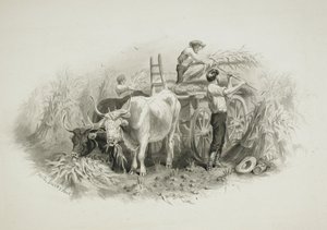 Szene bei der Heuernte von Felix Octavius Carr Darley