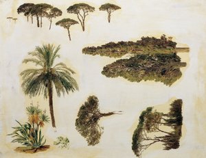 Baumstudien aus Rom von Ferdinand Georg Waldmuller