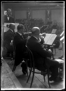 Streichinstrument eines Wiener Philharmonikers von Ferdinand Schmutzer