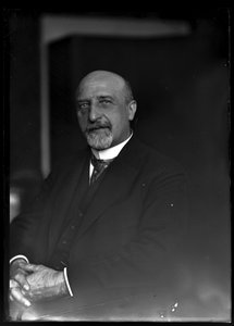 Bild von Karl Seitz (1869-1950) von Ferdinand Schmutzer
