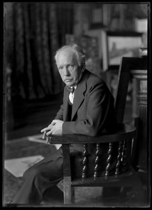 Bild von Richard Strauss (1864-1949) von Ferdinand Schmutzer