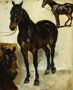Drei Studien von Pferden, c.1823 von Ferdinand Victor Eugene Delacroix