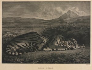 Königlicher Tiger von Ferdinand Victor Eugene Delacroix