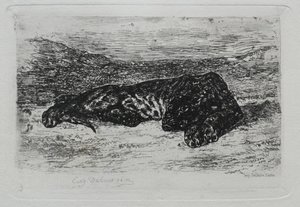 Tiger liegend in der Wüste von Ferdinand Victor Eugene Delacroix
