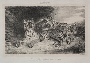 Junger Tiger spielt mit seiner Mutter, 1831 von Ferdinand Victor Eugene Delacroix