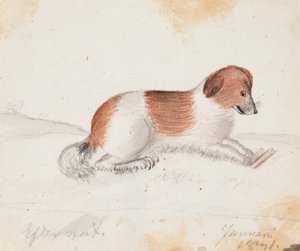 Hund von Ferdinand von Wright