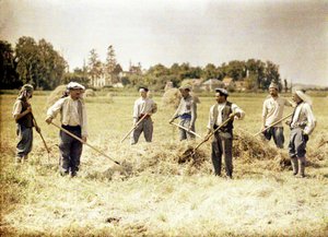 Acht Mitglieder der 143. Infanteriedivision der französischen Armee machen Heu, Soissons, Aisne, Frankreich