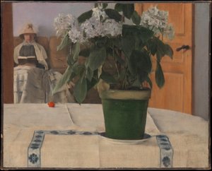 Hortensie