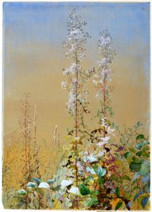 Ohne Titel von Fidelia Bridges