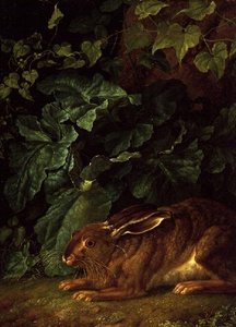 Ein Hase im Unterholz von Filippo Hackert