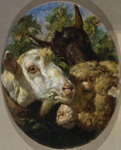 Tierköpfe