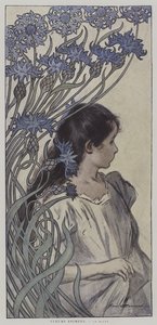 Animierte Blumen: die Kornblume (Farblithografie) von Firmin (after) Bouisset