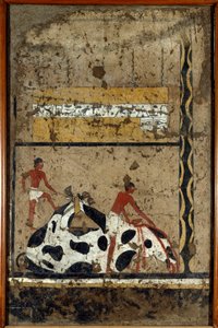 Ägyptische Antiquitäten: Ein Stier wird vor einem Sarkophag geopfert. Detrempe auf Ton und Stroh aus dem Grab des Generals und Kanzlers von König Iti in El Ghebelen bei Luxor. 2200-2000 v. Chr. Turin, Ägyptisches Museum von First Intermediate Period Egyptian