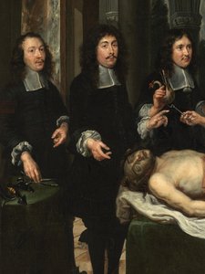 (Detail) Anatomieunterricht