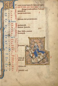MS 14 f.5, Mai: Falknerei, ca. 1250 von Flemish School