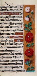 Ms. 1058-1975, f.120r: (Detail) einer floralen Bordüre aus einem Stundenbuch, ca. 1500