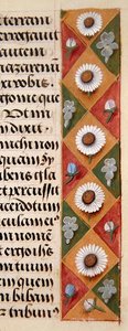 Detail eines floralen Rahmens aus einem Stundenbuch von Flemish School