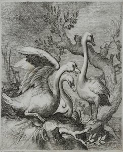 Alte Meister Gravur von Flemish School