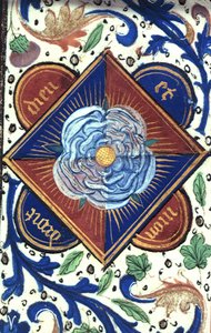 Weiße Rose des Hauses York, aus 