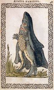 Der Meeresbischof oder Seemonster, Illustration aus Omnium fere gentium nostraeque aetatis Nationum Habitus et Effigies von Jean Sluperji, Antwerpen, 1572 (Farbholzschnitt) von Flemish School