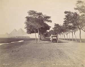 Kairo. Allee der Pyramiden, ca. 1870 von Félix Bonfils