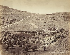 Panoramablick auf das Tal des Cedron oder Josafat, am Stadtrand von Jerusalem