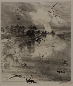 Schwalben von Félix Henri Bracquemond