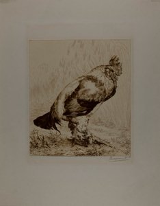 Der alte Hahn von Félix Henri Bracquemond