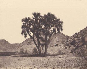 Ägypten und Nubien. Stätten und Monumente...Atlas Fotograf...Zweiter Teil. Nubien von Félix Teynard