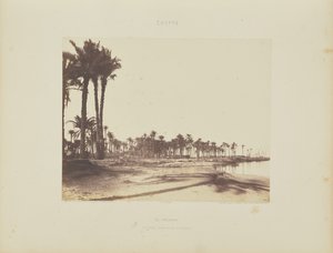 El-Nâcéra. Dattelpalmen, Nilufer und Boote