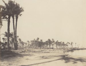 El-Nâcérah, Dattiers, Ufer des Nils und Boote, 1851-52, gedruckt 1853-54