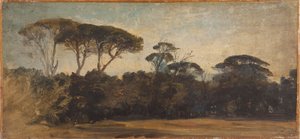 Schirmkiefern bei Neapel, ca. 1847 von Félix Ziem