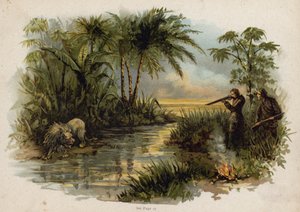 Szene aus Die Schweizer Familie Robinson: Löwenjagd (Chromolithographie) von Florence Maplestone