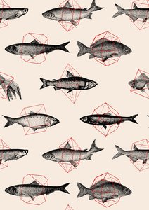 Fische in Geometrie