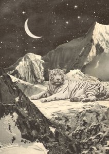 Riesiger weißer Tiger in den Bergen
