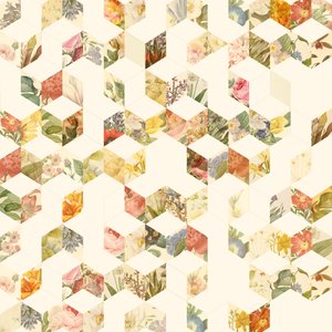 Keziah Blumen von Florent Bodart