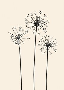 Minimalistische Löwenzahnblüten von Flow Line