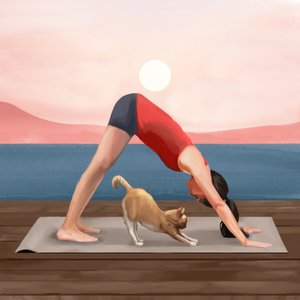 Sonnenaufgang Yoga-Katze