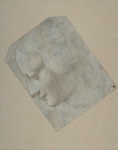 Der Kopf einer Frau im Profil nach links, 1490-1500 von Follower of Leonardo da Vinci.