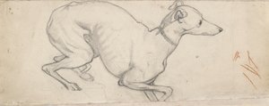 Studie eines Windhundes, Mitte des 19. Jahrhunderts von Ford Madox Brown