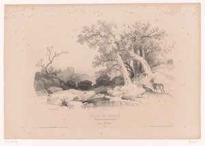 Felsenlandschaft mit Wasser und zwei Hirschen