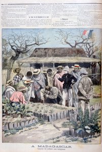 Landwirtschaftliche Lektion für die Ureinwohner Madagaskars, 1897