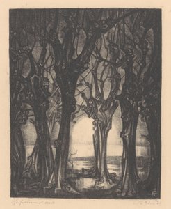 Herbstbäume von Fré Cohen (signed by artist)