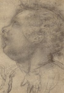 Kopf eines Kindes, ein Engel und eine Hand (recto); Männliche Figur (verso) von Fra Bartolommeo (Baccio della Porta)